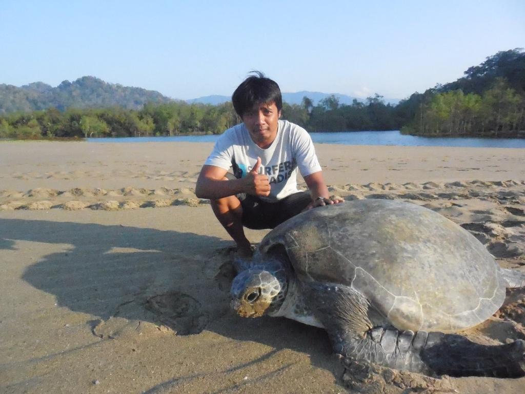 Banyuwangi Homestay Esterno foto